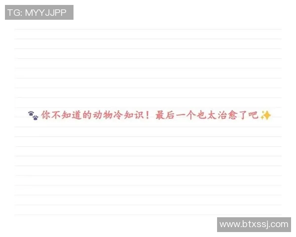 你不知道的VAR：十大冷知识大揭秘